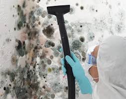 Why You Should Choose Our Mold Remediation Services in Dunlap, OH